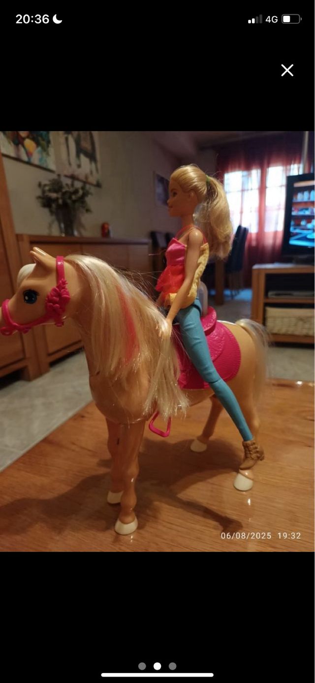 Barbie con caballo y accesorios
