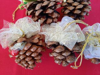 Decori Pigne natalizie (1026)