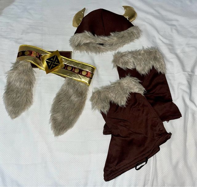 Disfraz completo Vikingo Niño, talla 5-6 Años.