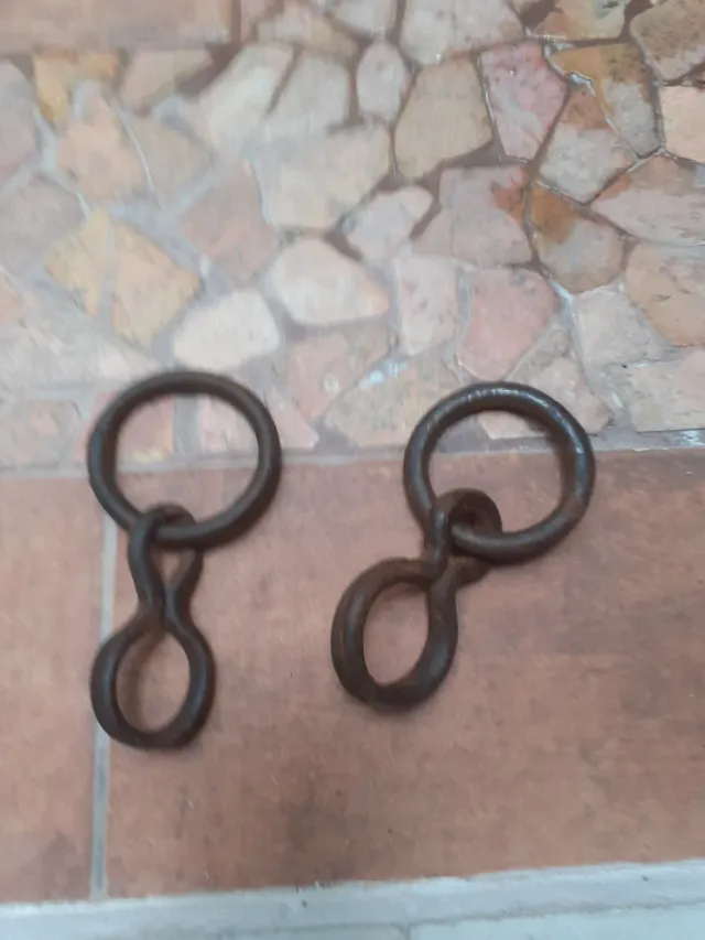 Argollas de tiros de mulos