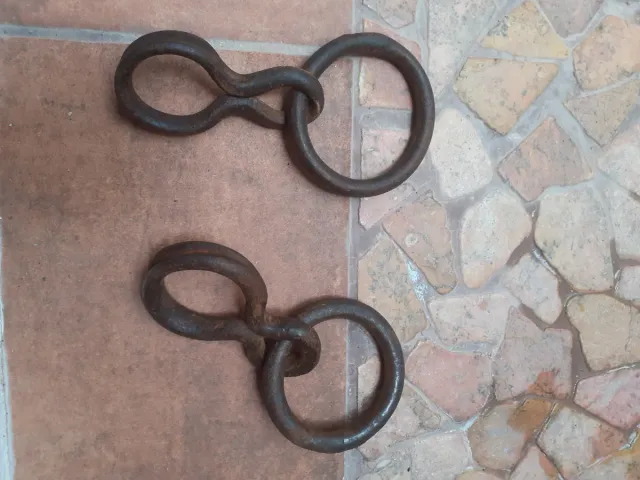 Argollas de tiros de mulos