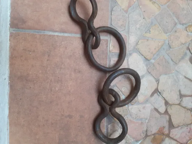 Argollas de tiros de mulos