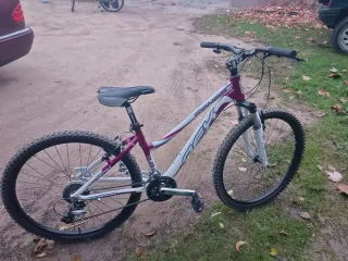Bicicleta de montaña blanca y morada