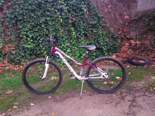 Bicicleta de montaña blanca y morada
