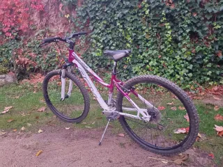 Bicicleta de montaña blanca y morada