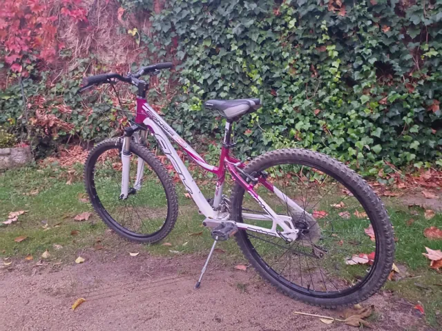 Bicicleta de montaña blanca y morada