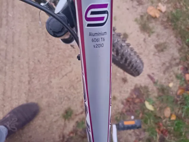 Bicicleta de montaña blanca y morada