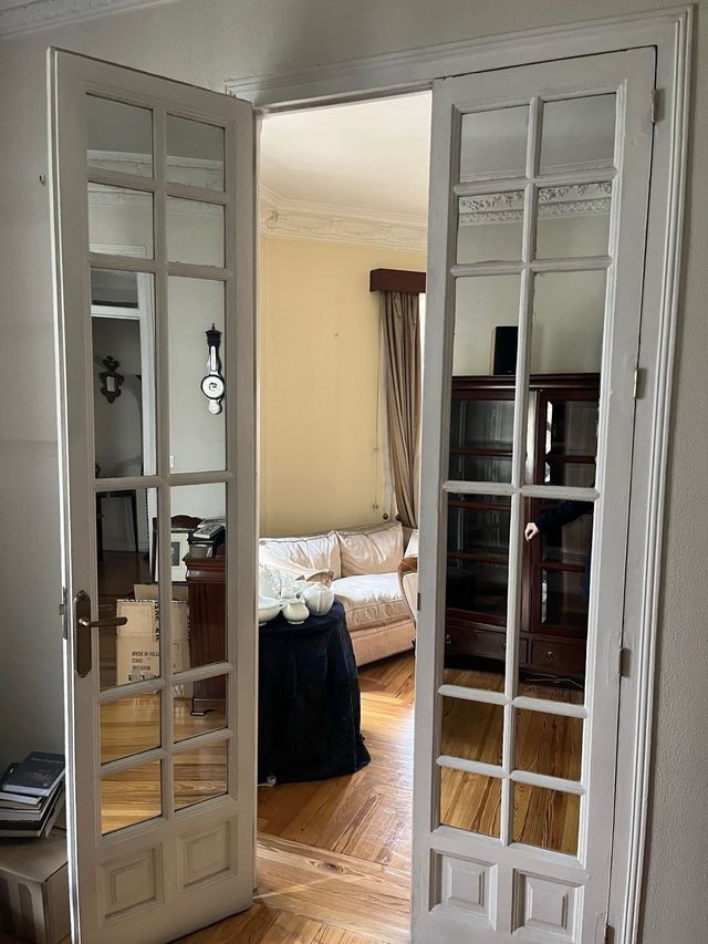 Puerta doble modernista blanca y con cristales