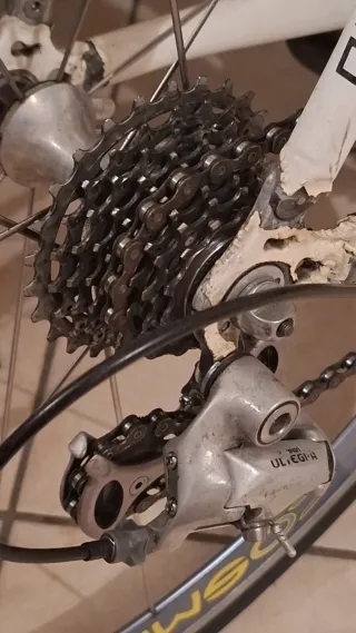 Bici da corsa Lecycle Carbon