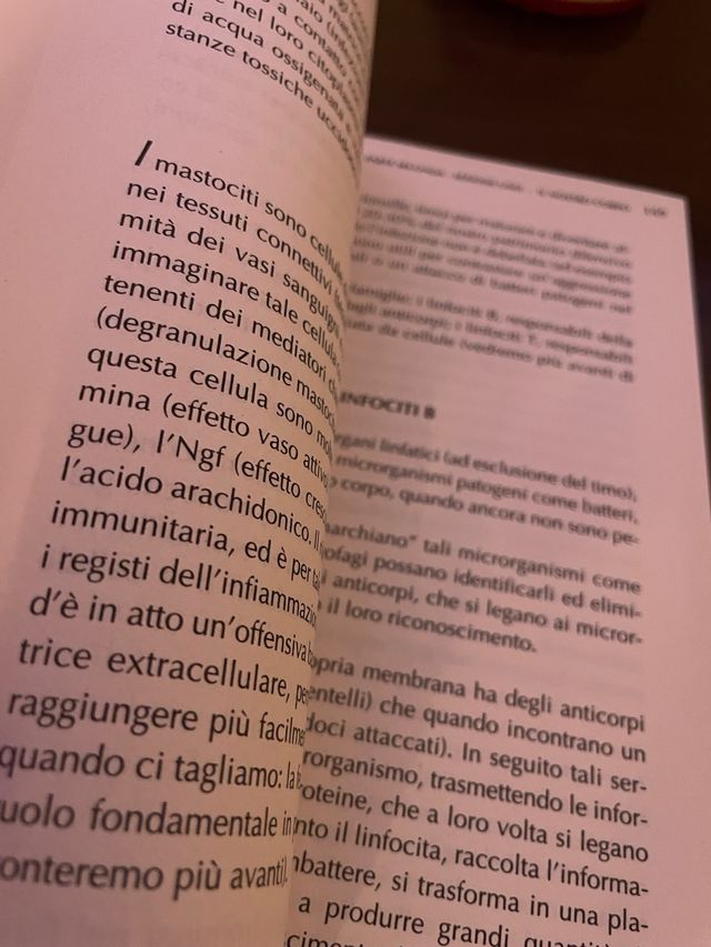 ADRIAN PANZIRONI - VIVERE 120