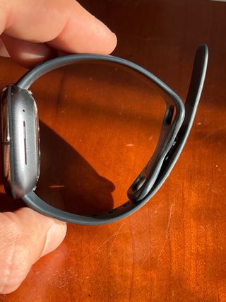 Fitbit Sense Grigio/Argento