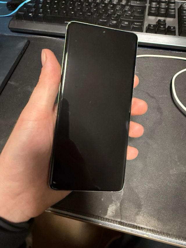 Samsung S21 Ultra 256GB.