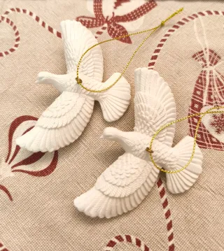 Tortorelle home alone