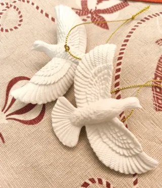 Tortorelle home alone