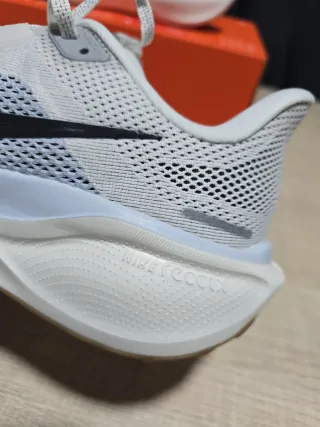 Nike Air Zoom Pegasus 41 Talla 41