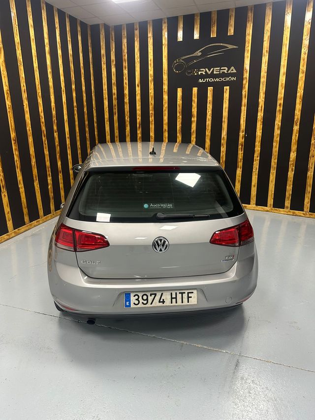 Volkswagen Golf VII