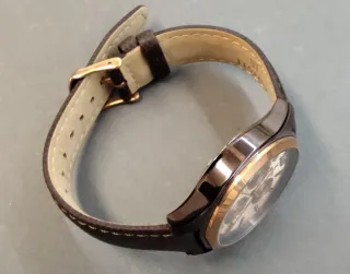 Reloj Festina Oro Rosa y Marrón