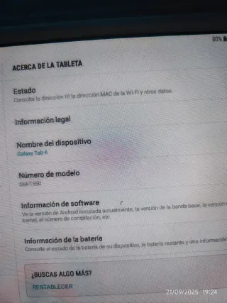 Samsung Galaxy Tab A con funda
