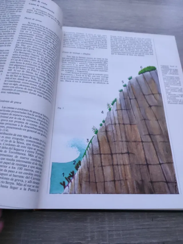 Guía de la naturaleza de la Comunidad Valenciana