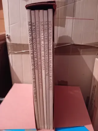 Colección Libros Museos Bellas Artes
