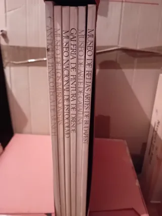 Lote 6 libros de museos de arte