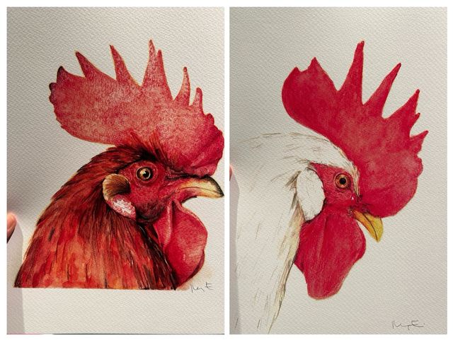 Lote 2 Láminas Cabezas de Gallo