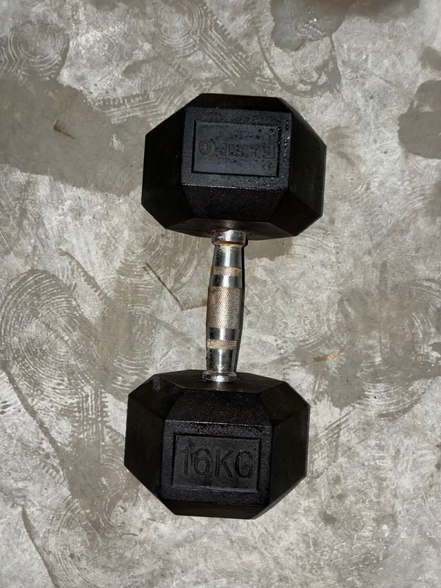 Kit Mancuernas Gimnasio Eleiko precio negociable