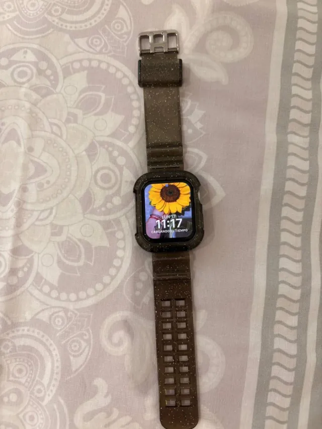 Apple Watch Gris/Plata