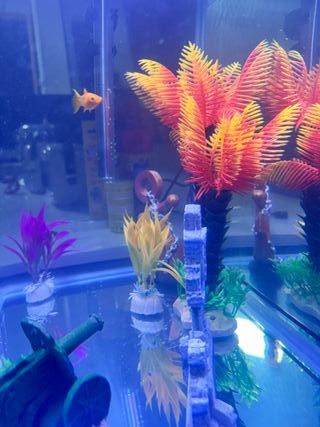 Plantas Acuario Decoración Palmeras Artificiales