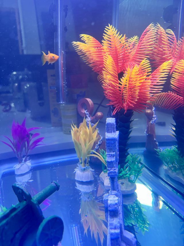 Plantas Acuario Decoración Palmeras Artificiales