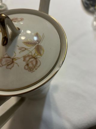 Servizio caffè porcellana rose