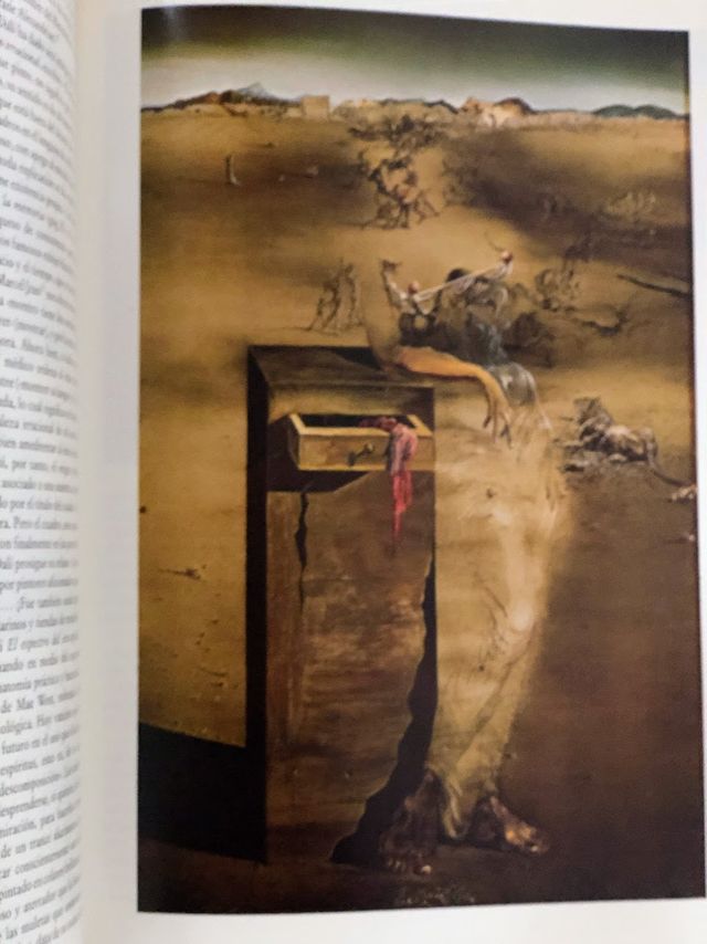 Salvador Dalí - Libro Arte Surrealista