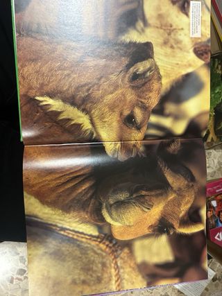 Grande enciclopedia per ragazzi - Animali