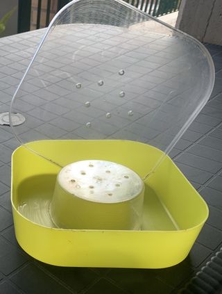 Abbeveratoio/Nutritore Api