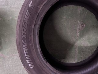 Neumáticos Vredestein Wintrac Xtreme