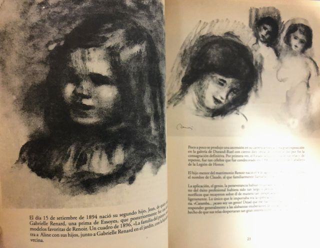 Libro Auguste Renoir - Pittura