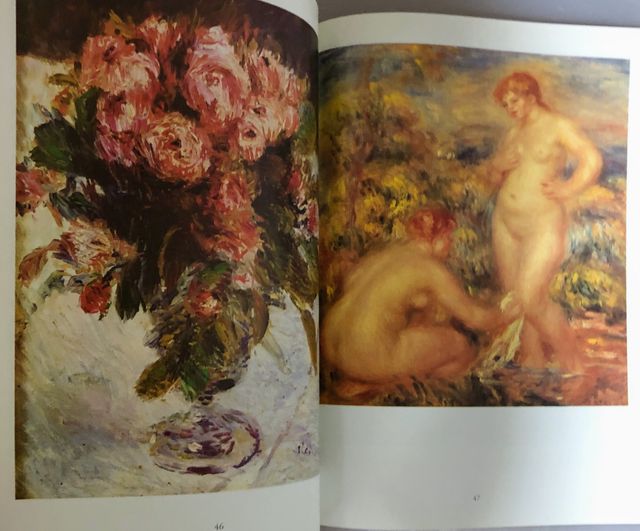 Libro Auguste Renoir - Pittura