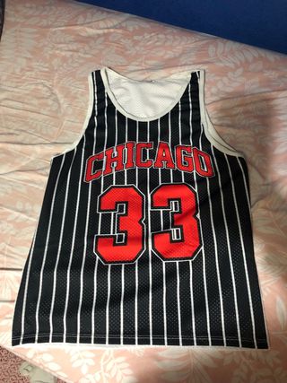 Camiseta Chicago Bulls 33
