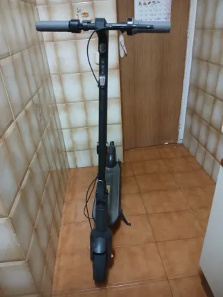 Patinete eléctrico Ninebot Segway