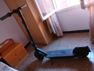 Patinete eléctrico Ninebot Segway