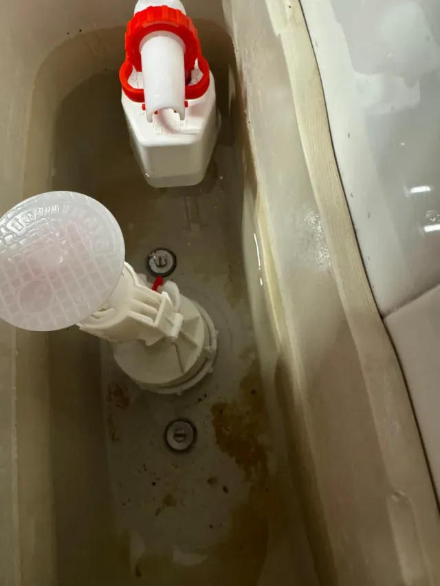 Fontanería y Albañilería