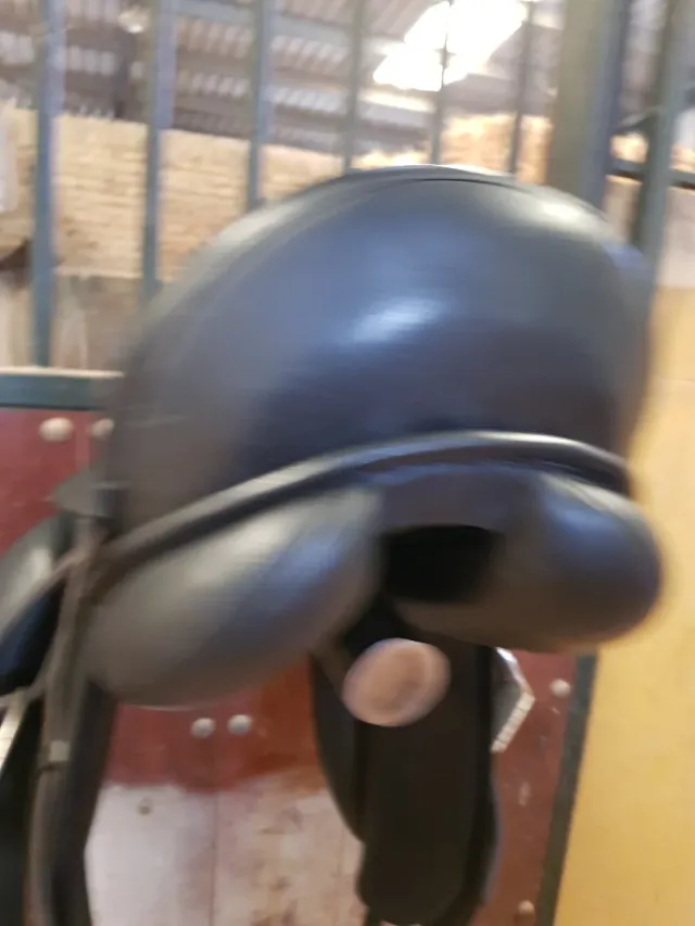 Silla de montar a caballo Premium Neus