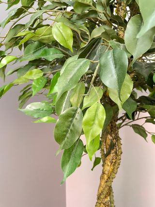 Árvore Artificial Decorativa 150cm