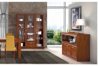 Vitrina de madera y cristal