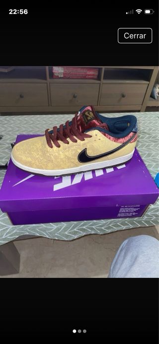 Zapatillas Nike SB Dunk sin estrenar