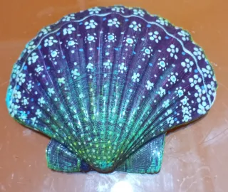 Vieira decorada pintada a mano