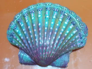 Vieira pintada a mano