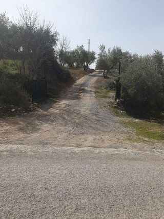 Solar en venta en Peligros