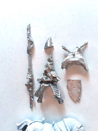 Warhammer Fantasy Bretonnia Lord with lance