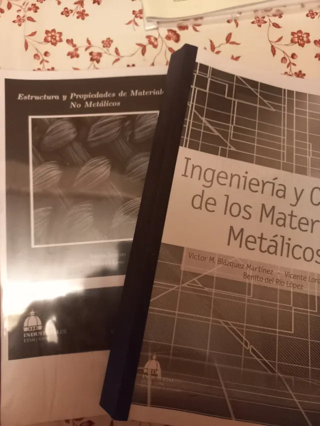 Lote de puntes Industriales